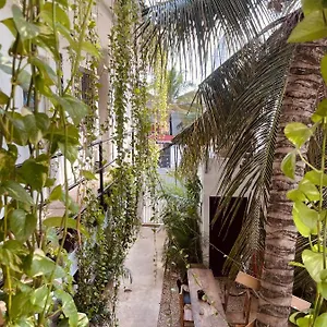 https://anana-coliving.allrivieramayahotels.com