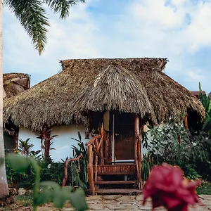 https://centro-holistico-akal-ki.quintano-roohotels.com